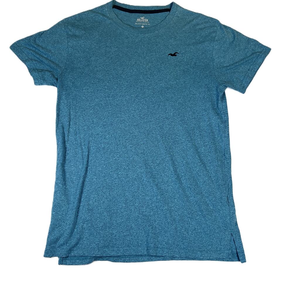 Hollister T-Shirts *Lot of 2* Men M Logo Cali Teal Blue w Bird & Slate Blue Grey